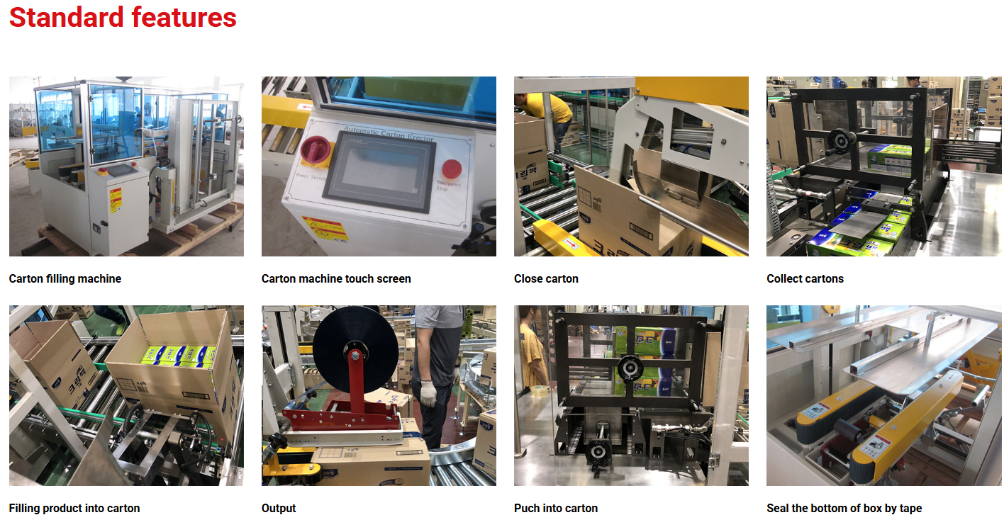 Model:KXZ-600 Master Carton Packaging Machine